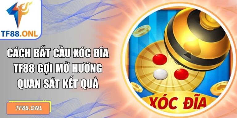 Cách Bắt Cầu Xóc Đĩa TF88 Gợi Mở Hướng Quan Sát Kết Quả 2 cách bắt cầu xóc đĩa TF88