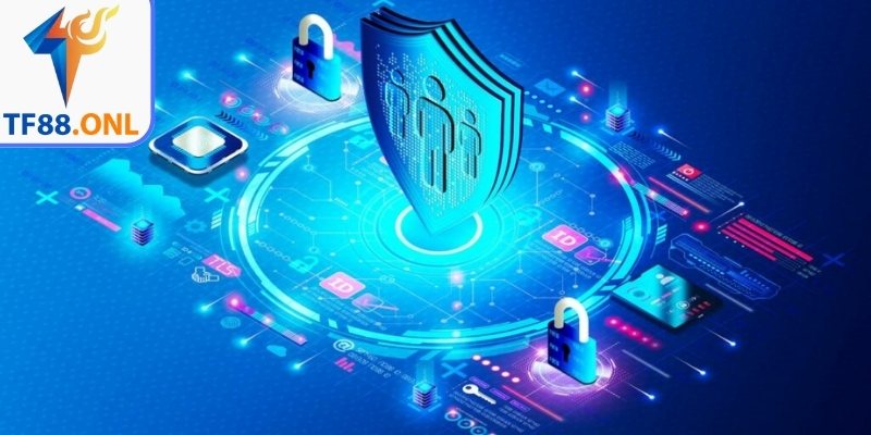 Quy trình thu thập thông tin