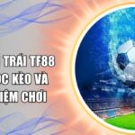 kèo chấp 1 trái TF88