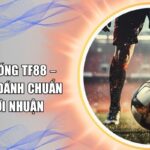 Kèo giao bóng TF88